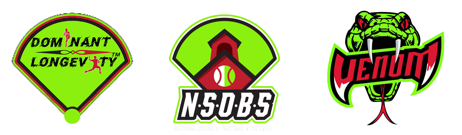 national school of baseball